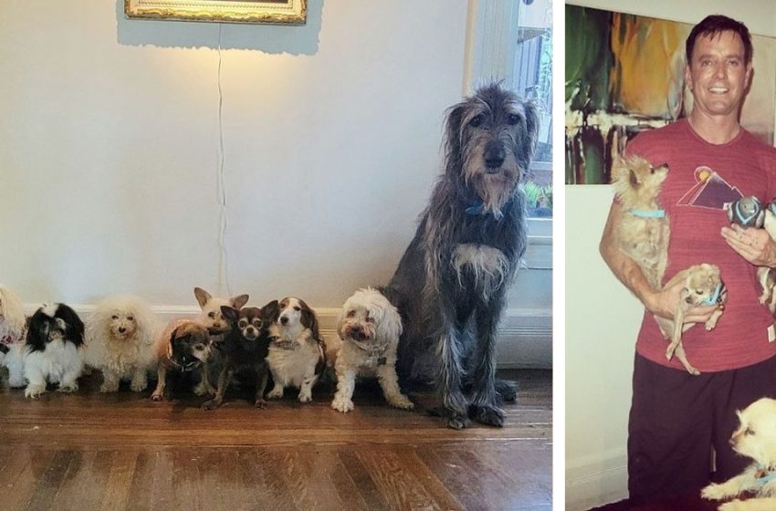 Un homme consacre sa vie à sauver des chiens âgés qui ne trouvent pas de foyer
