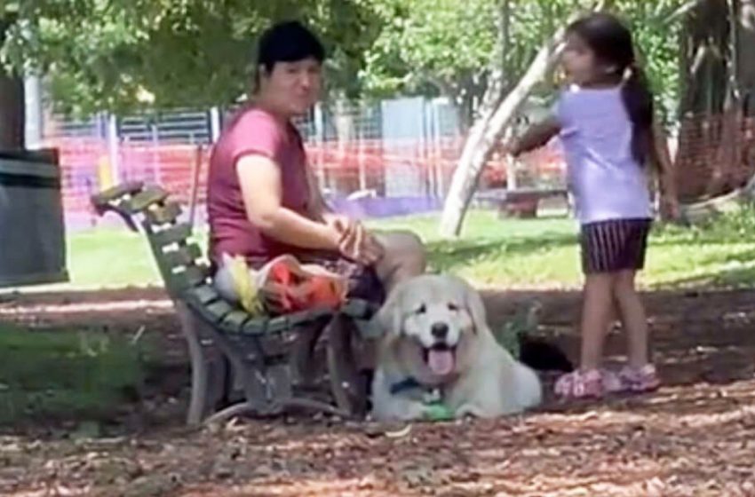Ce chien fait semblant d’être l’animal de compagnie de quelqu’un d’autre chaque fois que sa mère essaie de quitter le parc
