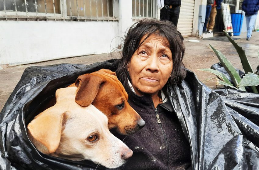  Une femme sans-abri retrouvée dans un sac poubelle dans la rue avec 6 chiens refuse d’aller dans un refuge parce que les animaux de compagnie n’y sont pas acceptés.