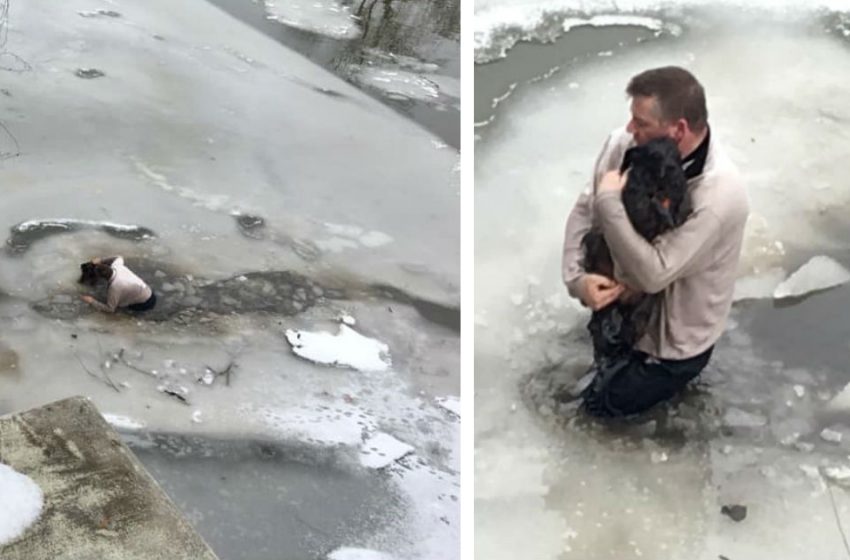 Un homme se jette dans l’eau glacée pour empêcher chien de se noyer
