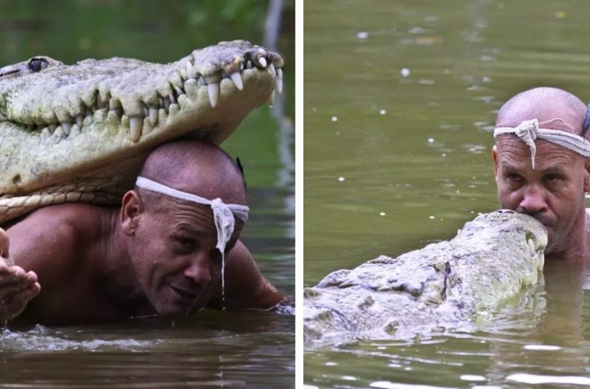  Un gentil pêcheur sauve la vie d’un crocodile – ils sont restés meilleurs amis pendant 22 ans