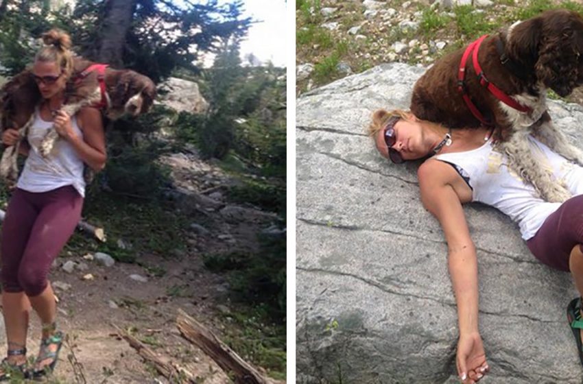  La femme sauve un chien blessé de 55 livres et le porte sur ses épaules en bas d’une montagne pendant 6 heures