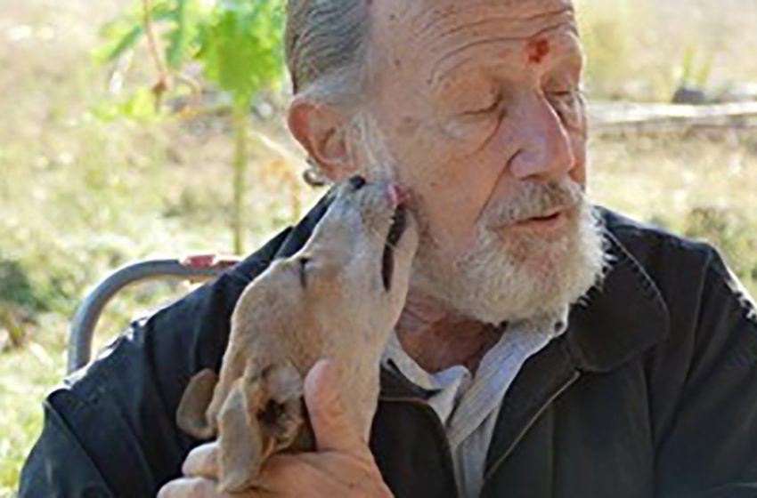  Un homme a abandonné son plan de retraite pour créer un refuge pour animaux en Inde.