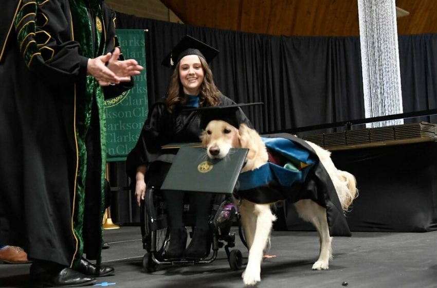  Un chien d’assistance a permis à sa propriétaire d’aller à l’université, qui lui a donc décerné son propre diplôme.