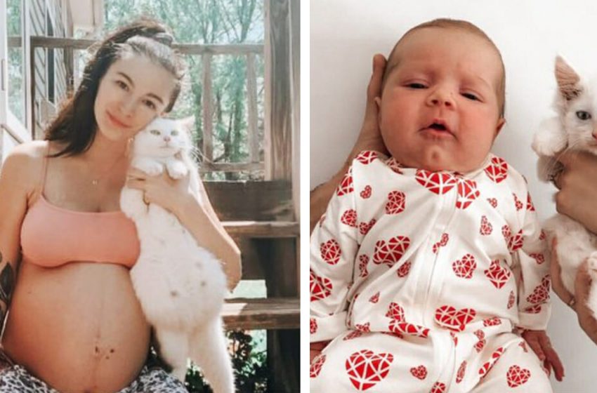 Une femme enceinte se lie avec une chatte errante enceinte, puis elles donnent naissance en même temps.
