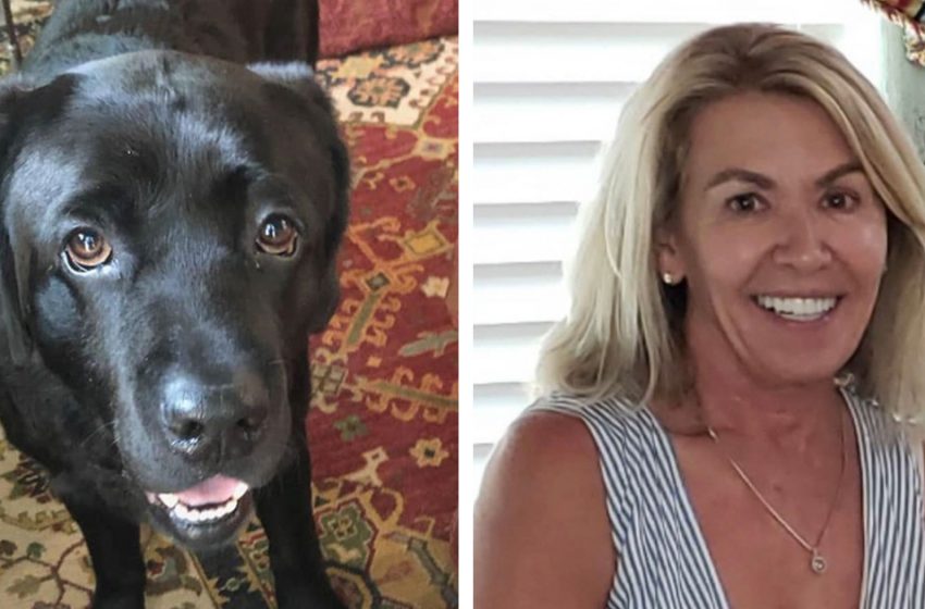  Une femme atteinte de démence a disparu, mais elle a été retrouvée saine et sauve grâce à son chien fidèle.