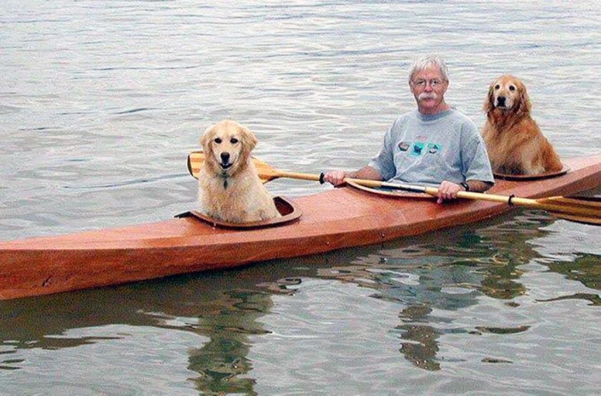  Un homme construit un kayak individuel afin qu’il puisse nager sur l’eau avec ses deux chiens