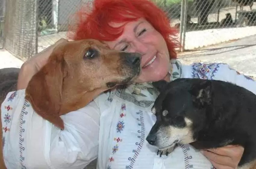  Une femme transforme sa maison en hospice pour s’occuper de plus de 250 chiens à la fois