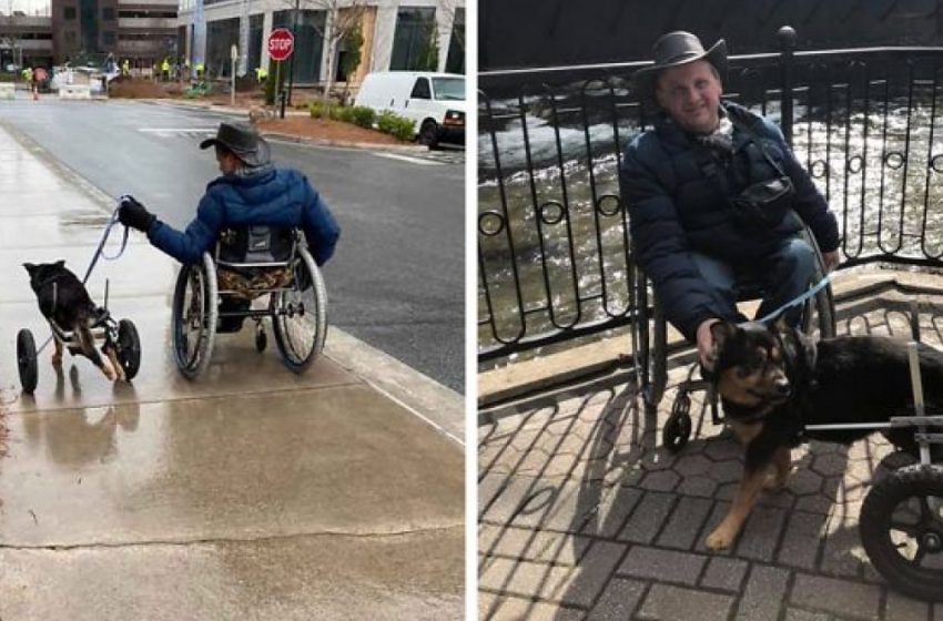 Un chien ayant des besoins particuliers est finalement adopté par son parfait propriétaire après avoir été renvoyé quatre fois au refuge.