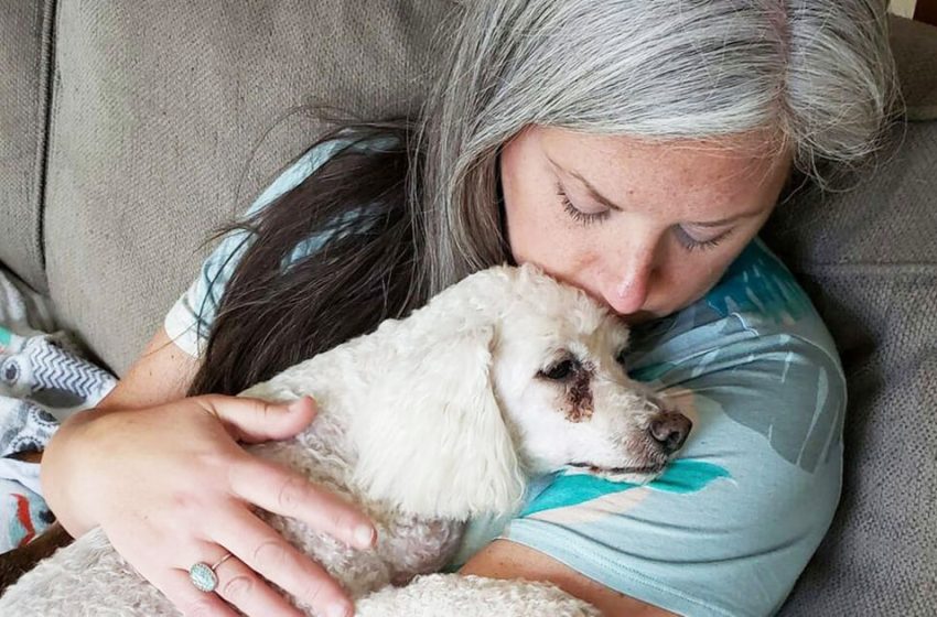  Une femme transforme sa maison en hospice pour les chiens  âgés de refuge afin qu’ils ne meurent pas seuls