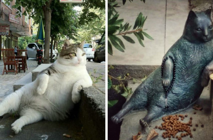  Lorsque le chat de rue bien-aimé est mort, les habitants l’ont commémorée en plaçant une statue d’elle à son endroit préféré