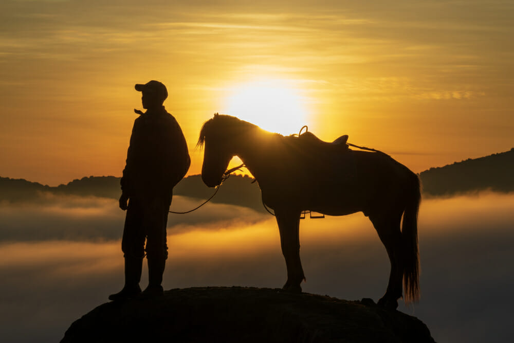 Le Cheval L enterrement Dit Au Revoir Au Propri taire Qui Ne L Le Cheval L enterrement Dit Au Revoir Au Propri taire Qui Ne L