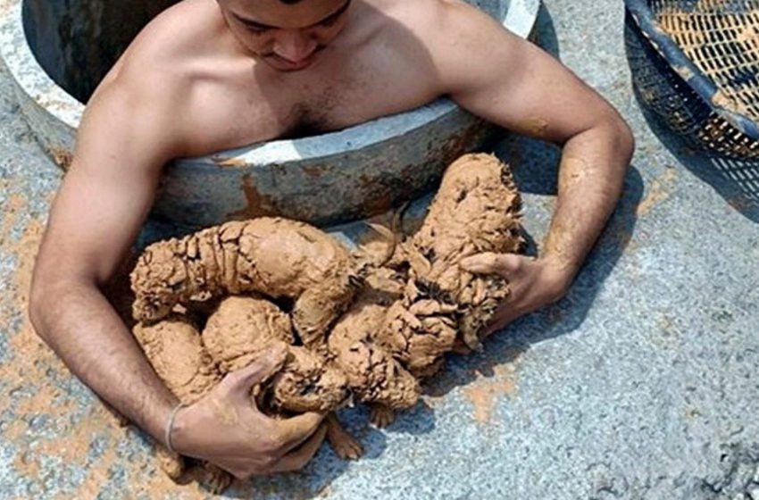  Un jeune homme a sauvé cinq petits animaux de la boue épaisse, sans savoir qui ils étaient