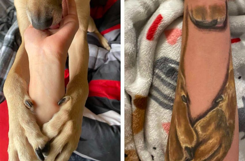  Une femme s’est fait tatouer le plus mignon en mémoire de son chien bien-aimé