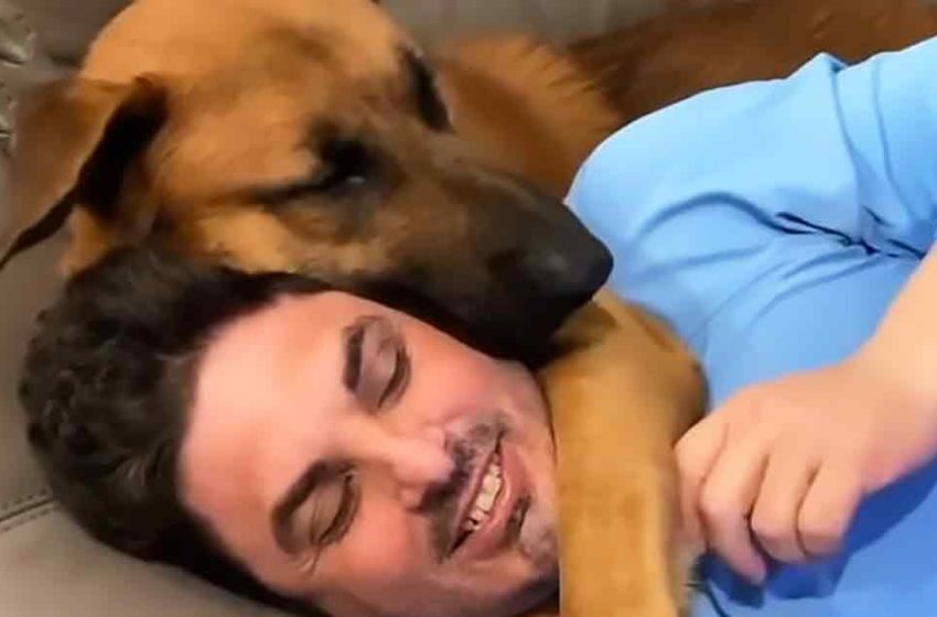  Une femme adopte un chien secouru qui devient instantanément un fils à papa