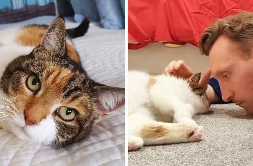 Le chat de 23 ans entretient une relation remarquable avec son humain