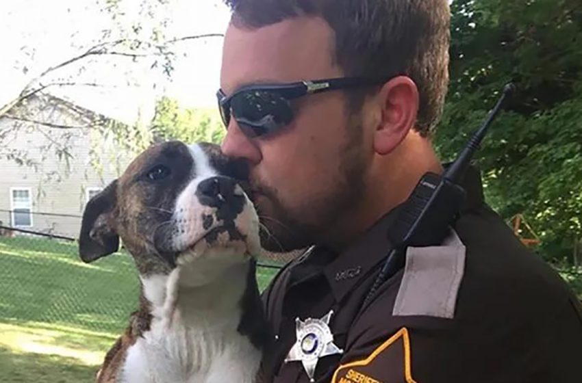  Un chien abandonné par ses propriétaires dans un parc a été adopté par le policier qui l’a sauvée