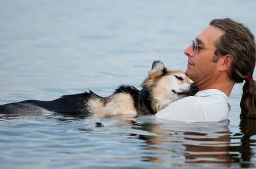  Chaque soir, cet homme emmène son chien malade dans le lac alors que l’eau fait disparaître la douleur