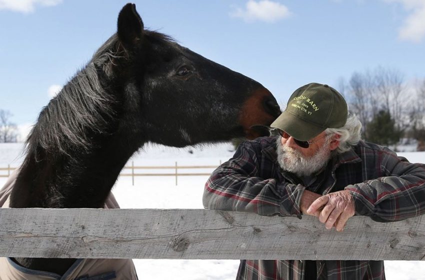  Un cheval de course à la retraite de 40 ans et un homme de 58 ans ont vécu une grande amitié.