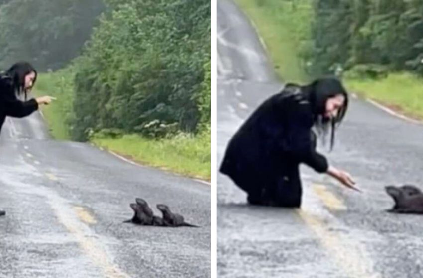  Une femme aperçoit un amas sur la route et sait ce qu’elle doit faire