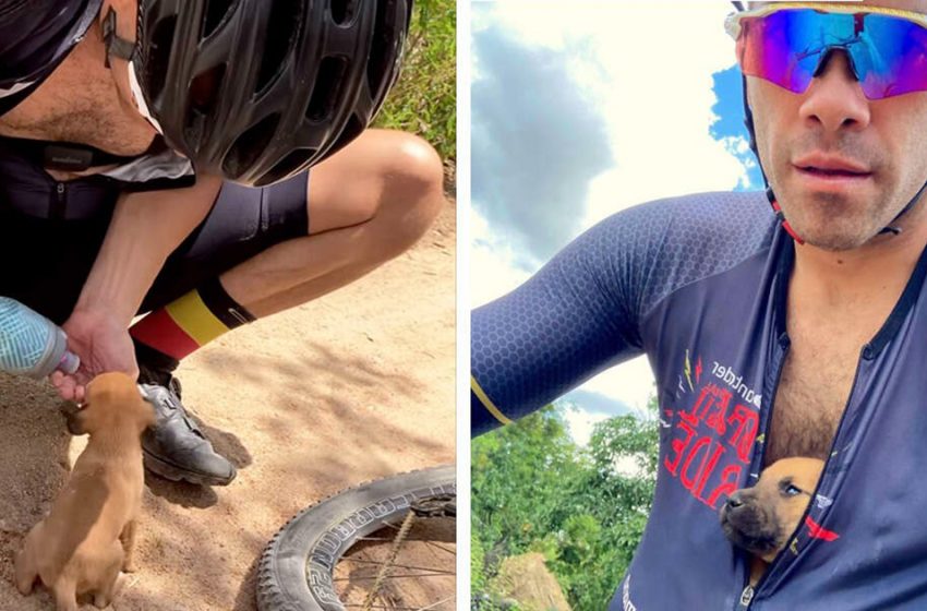  Un Cycliste Trouve Des Chiots Abandonnés — Et Les Emmène Dans Un Endroit Sûr Dans Sa Chemise