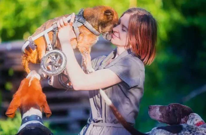  Une photographe a abandonné sa carrière pour vivre avec une centaine de chiens malades dans les bois – photo