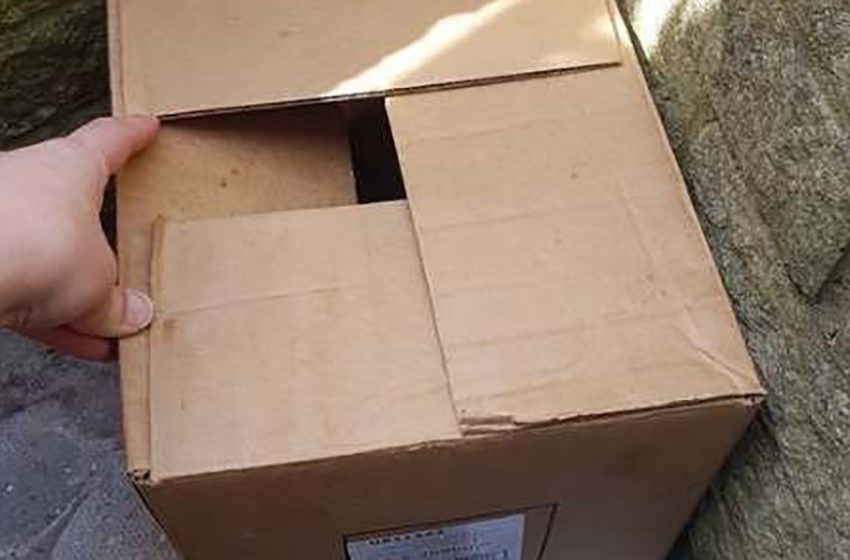  Une femme britannique a trouvé une boîte abandonnée contenant deux surprises près de chez elle.