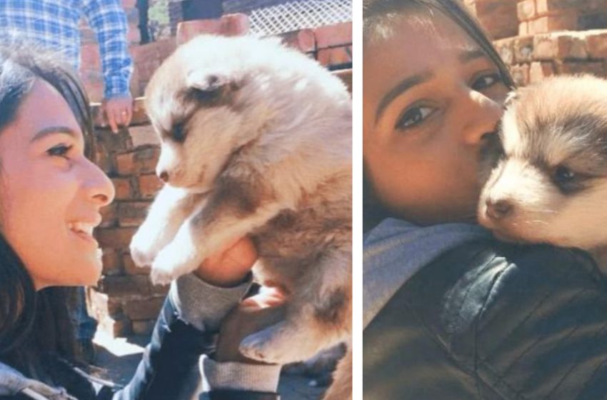 Quand elle a adopté le chiot, elle ne pensait même pas qu’il deviendrait un géant de 70 kg