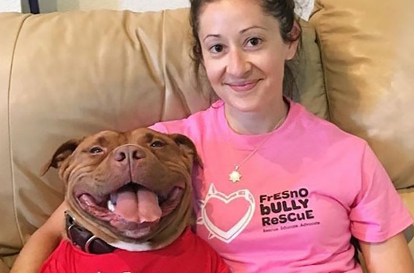  Rencontrez Mitty, le chien qui n’arrête pas de sourire après avoir été sauvé d’un refuge