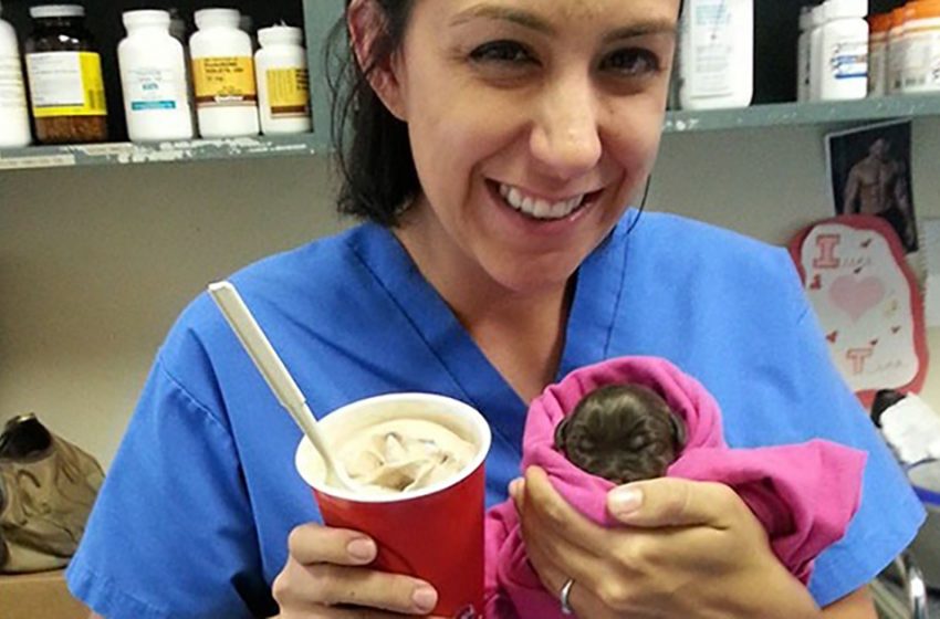  Un chiot aussi grand qu’un milkshake est sauvé de l’euthanasie et adopté par un vétérinaire