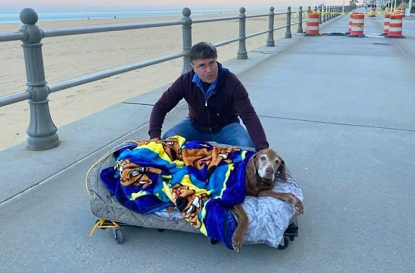  Un chien âgé de 16 ans a une famille très attentionnée qui construit un lit mobile pour l’emmener à la plage