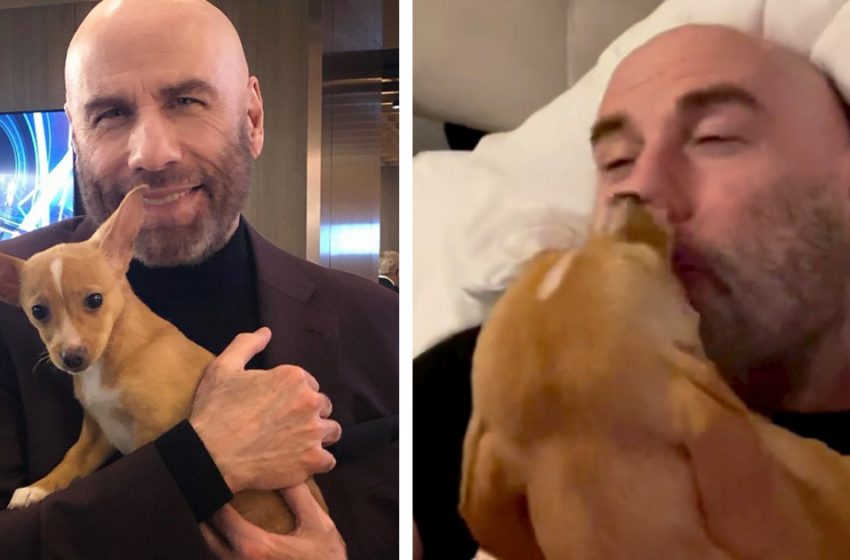  John Travolta partage la douce vidéo d’un chien sauvé qui le réveille avec des bisous