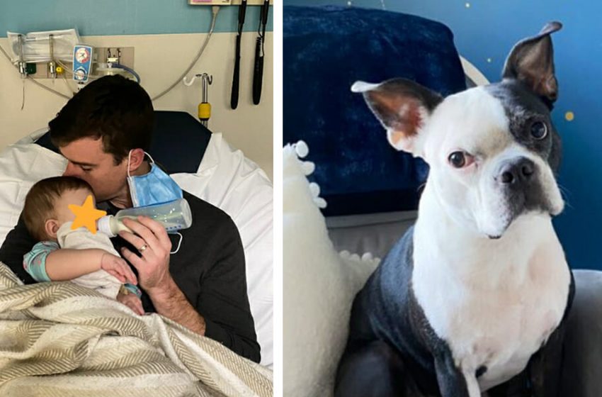 Un chien sauve la vie d’une petite fille qui avait cessé de respirer au milieu de la nuit