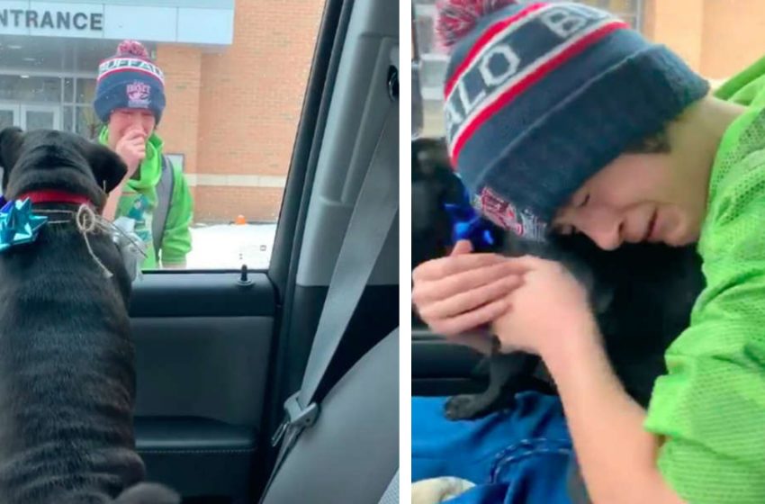  Une famille surprend un garçon à l’école avec son chien perdu